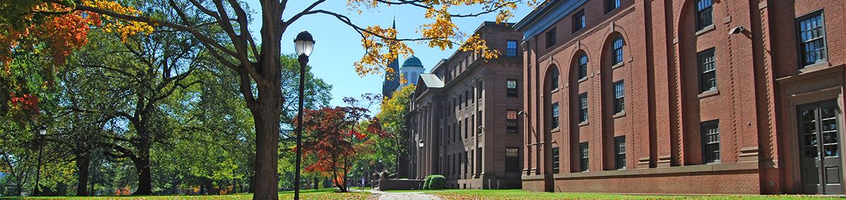 Ideals into Practice