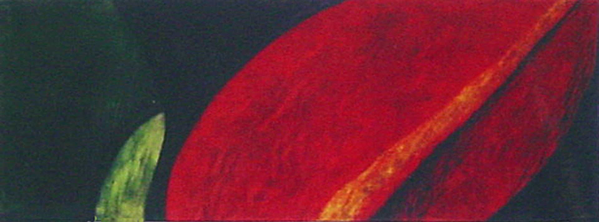 "Desire" 2001, batik and dye on velvet, size 50cm x 140cm