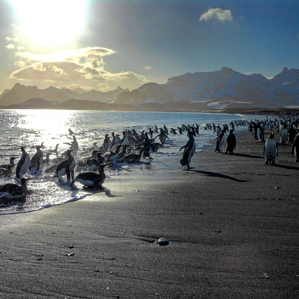 Brown Bluff, Antarctica