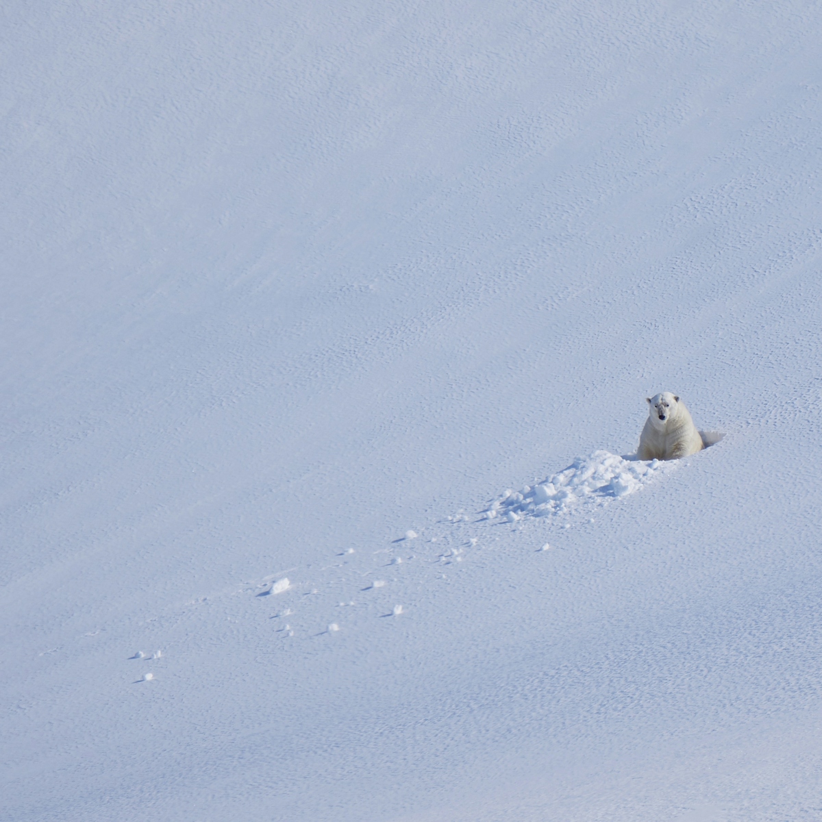 Longyearbyen, Svalbard