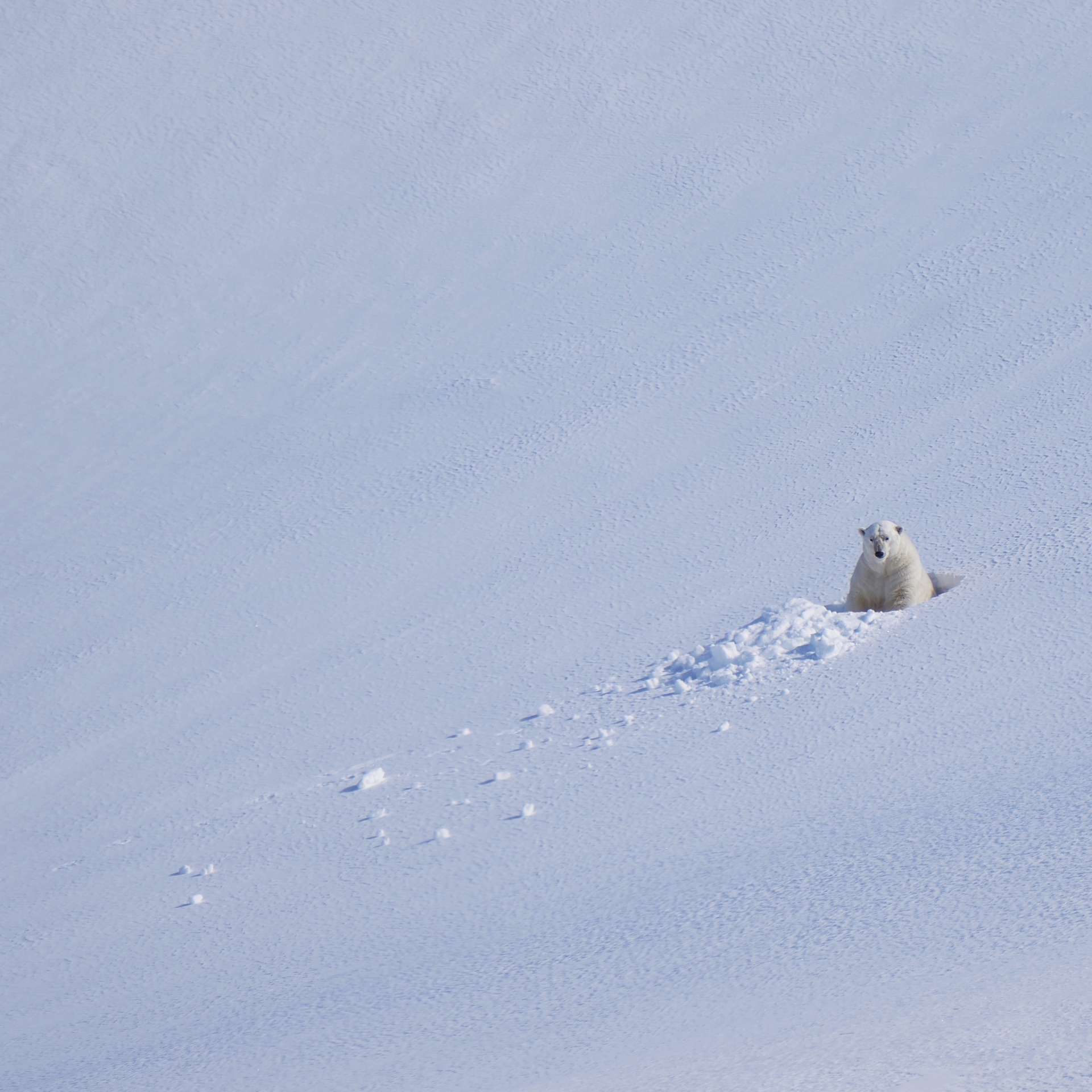 Longyearbyen, Svalbard