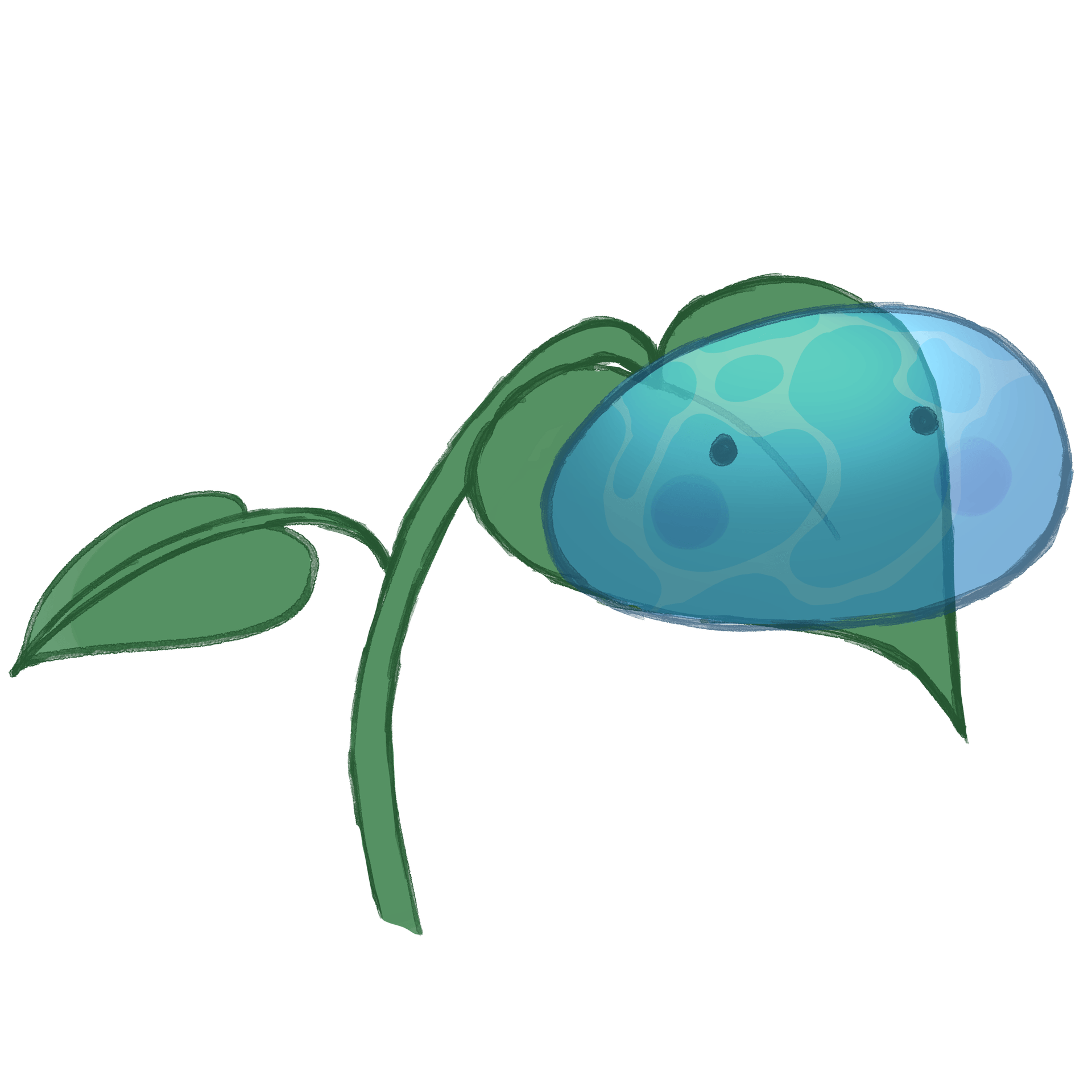 Join us in the 🌧 Raindrop Mansion 🌧!