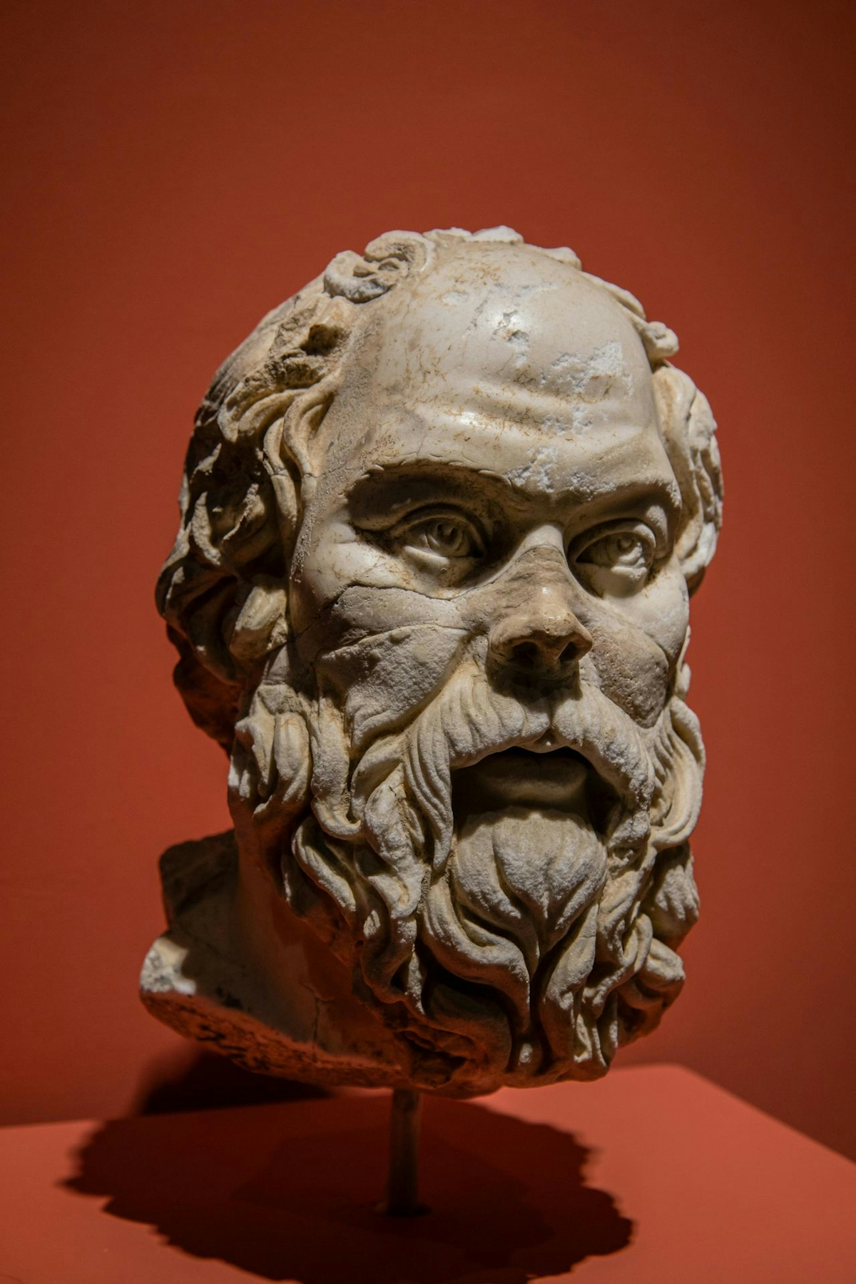 Bust of Socrates