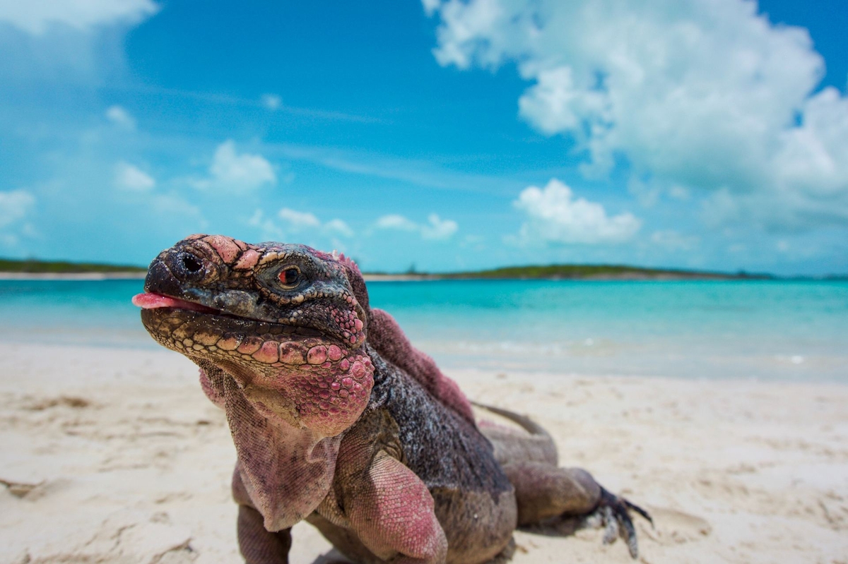 Great Exuma, Bahamas