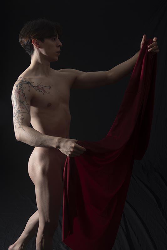 Artistic nudes / "Dudoir"