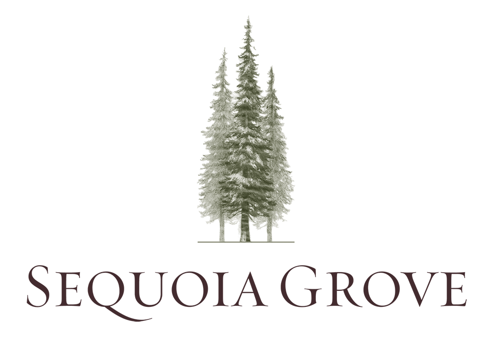 Sequoia Grove - Serf Barnabei, Jonathan Wendorf & Cassidy Stirtz