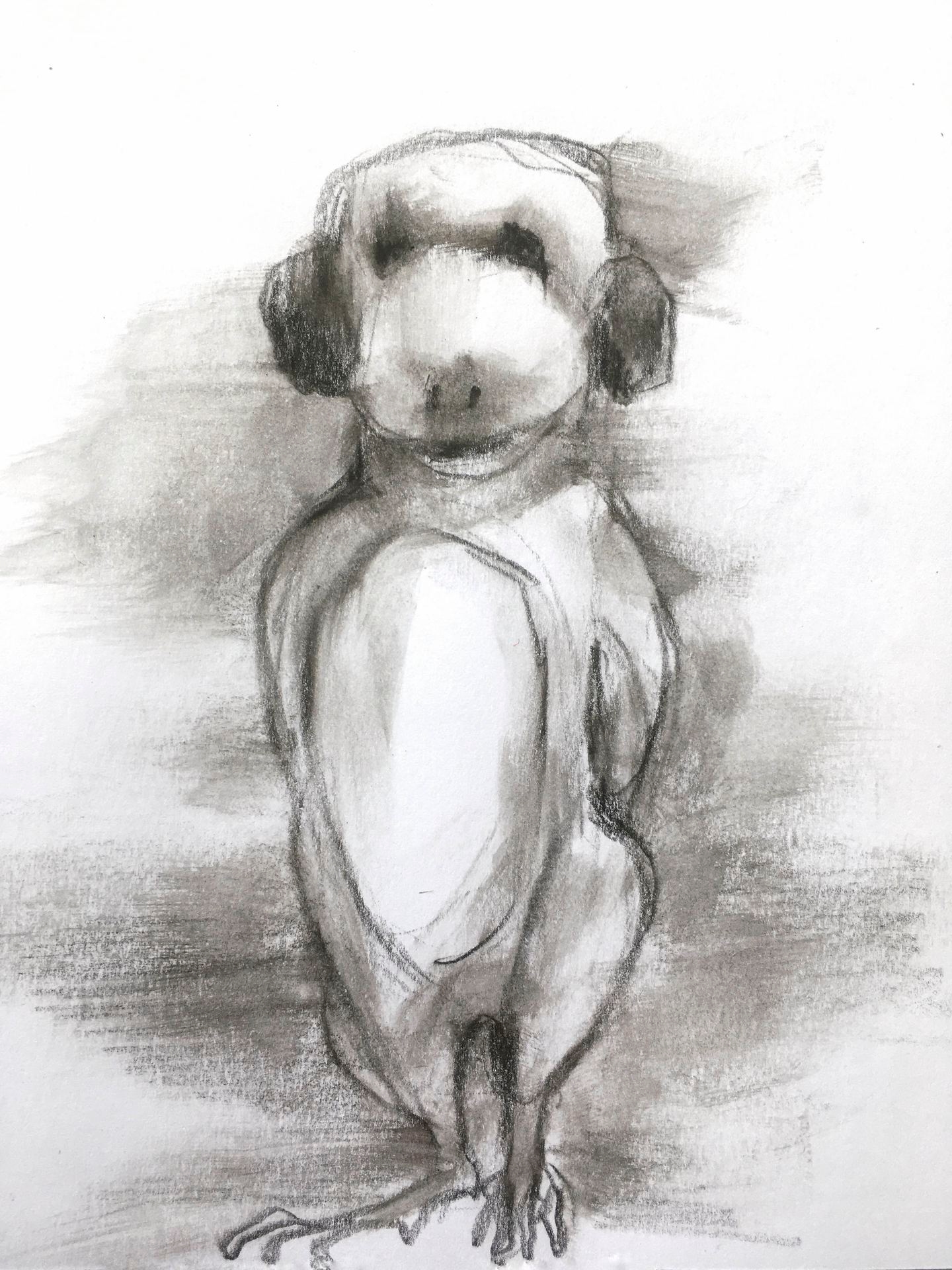 Joku Jonkunpoikanen, , 2023, värikynä paperille, 15x10cm