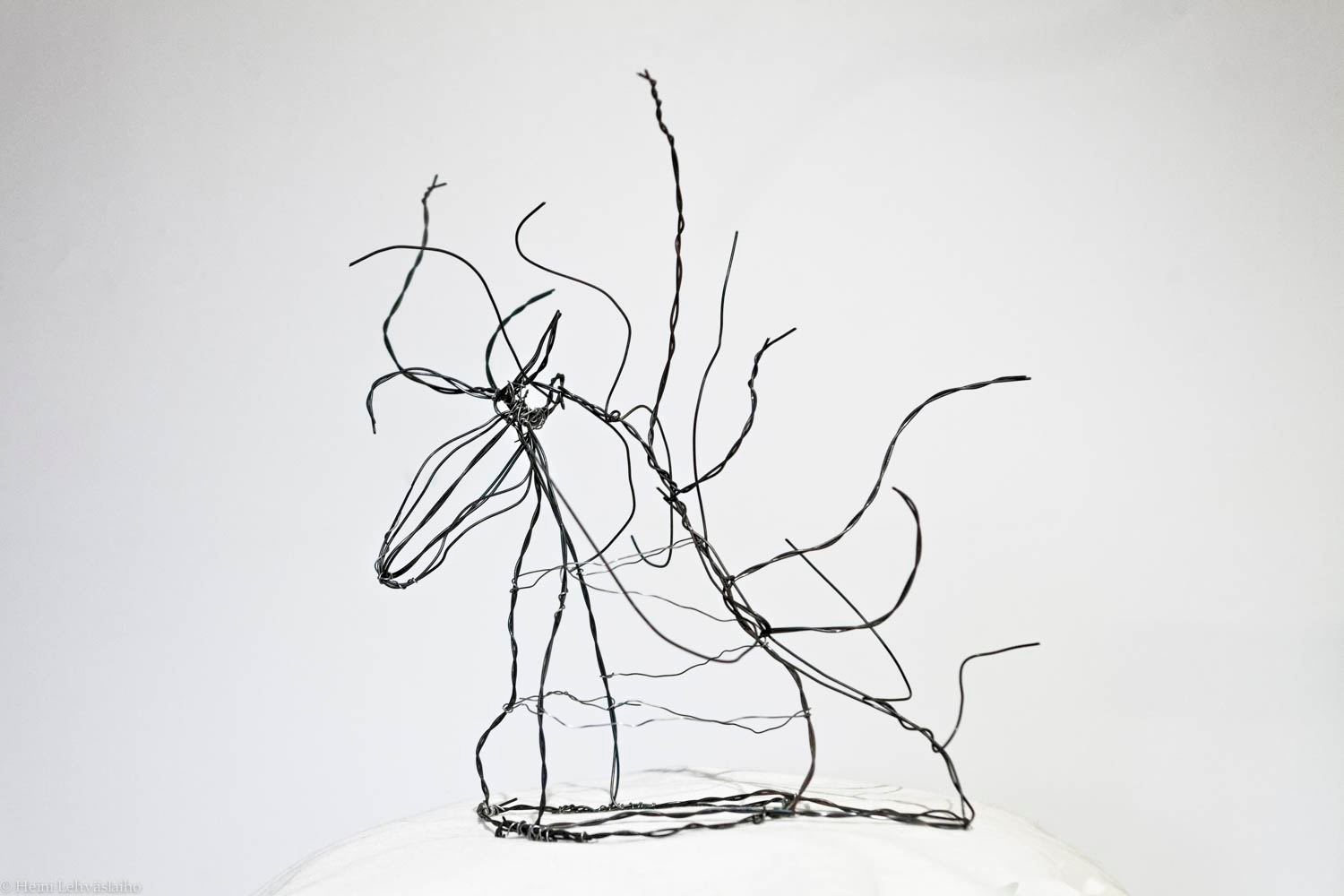 ASSISTANT DE LA HIUS, 2016