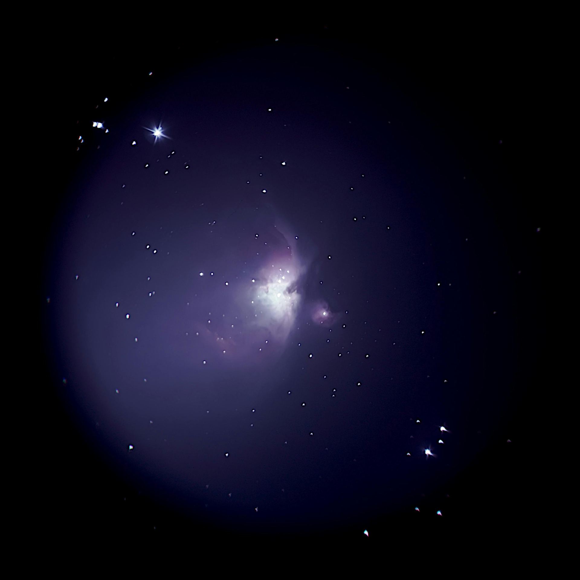 Stars in the Night Sky