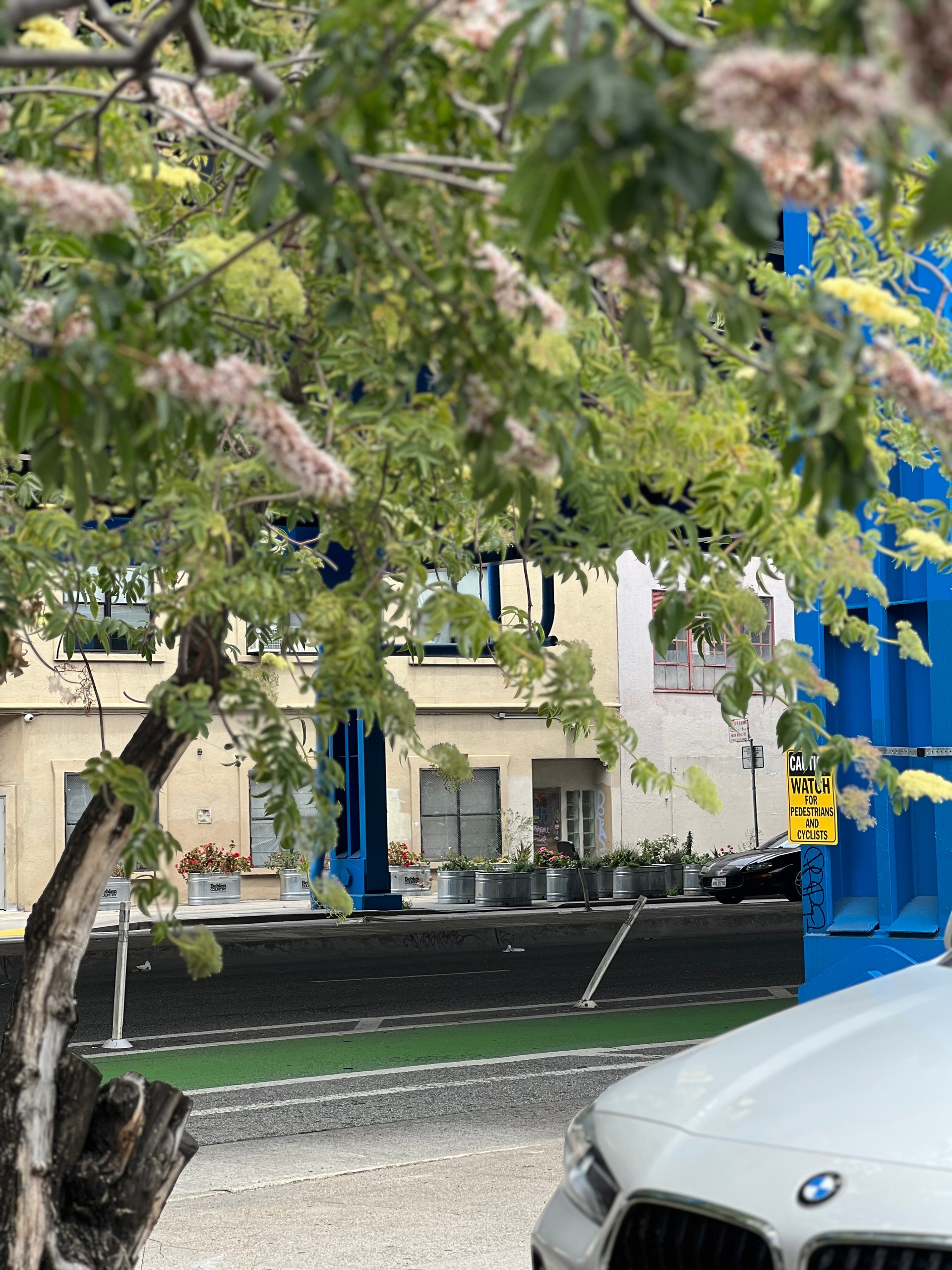 Mission District Raised Garden Beds