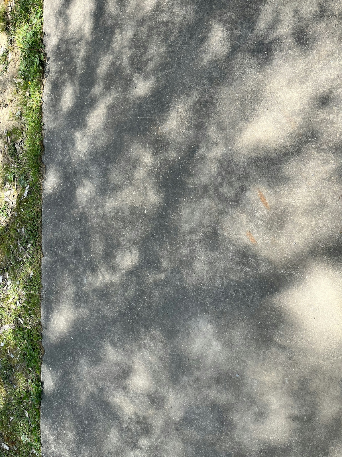 Same patio 5 minutes after total eclipse. Shadows are still intense but look more normal.