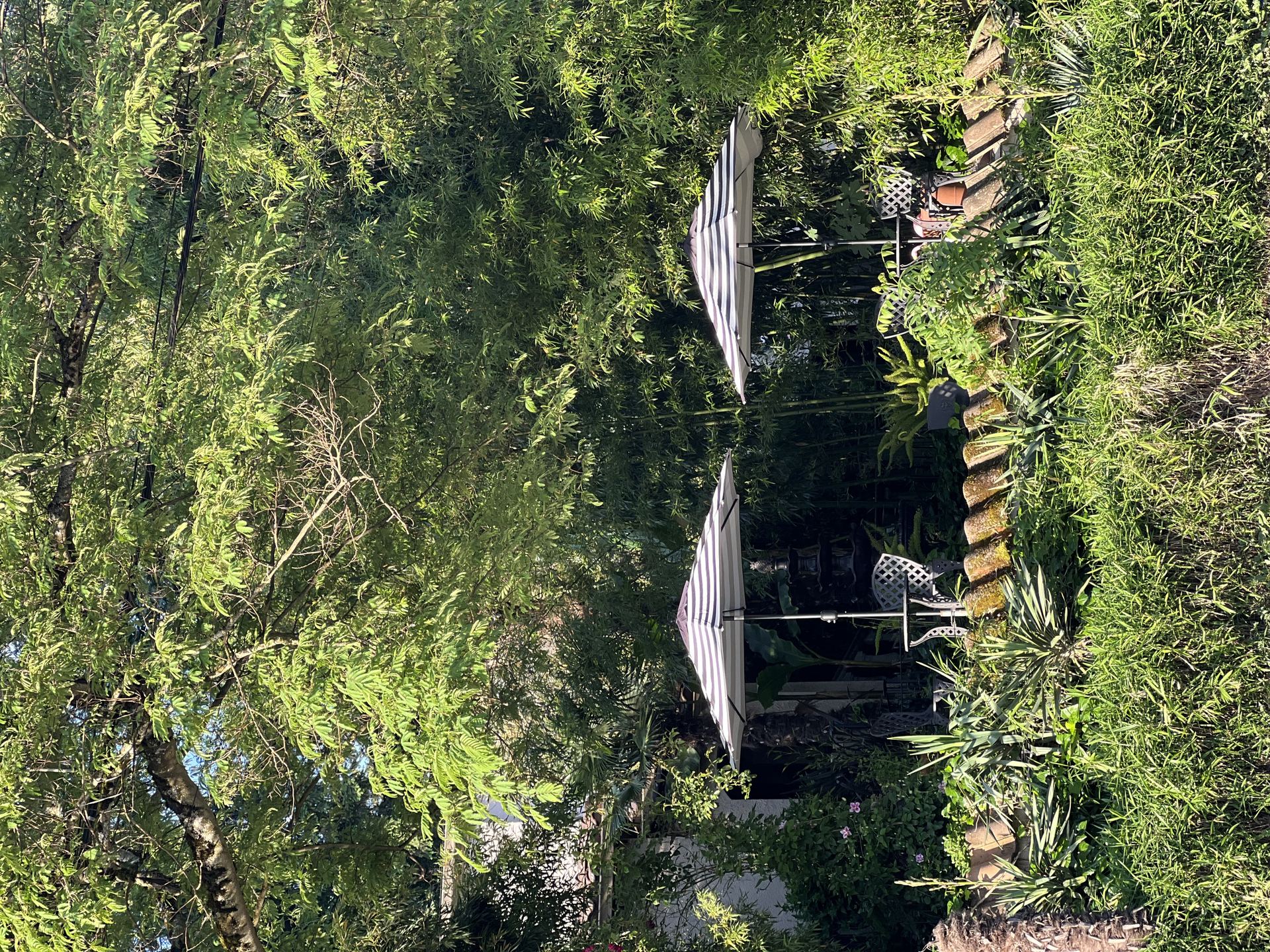 Typical Vegitated Portland Home