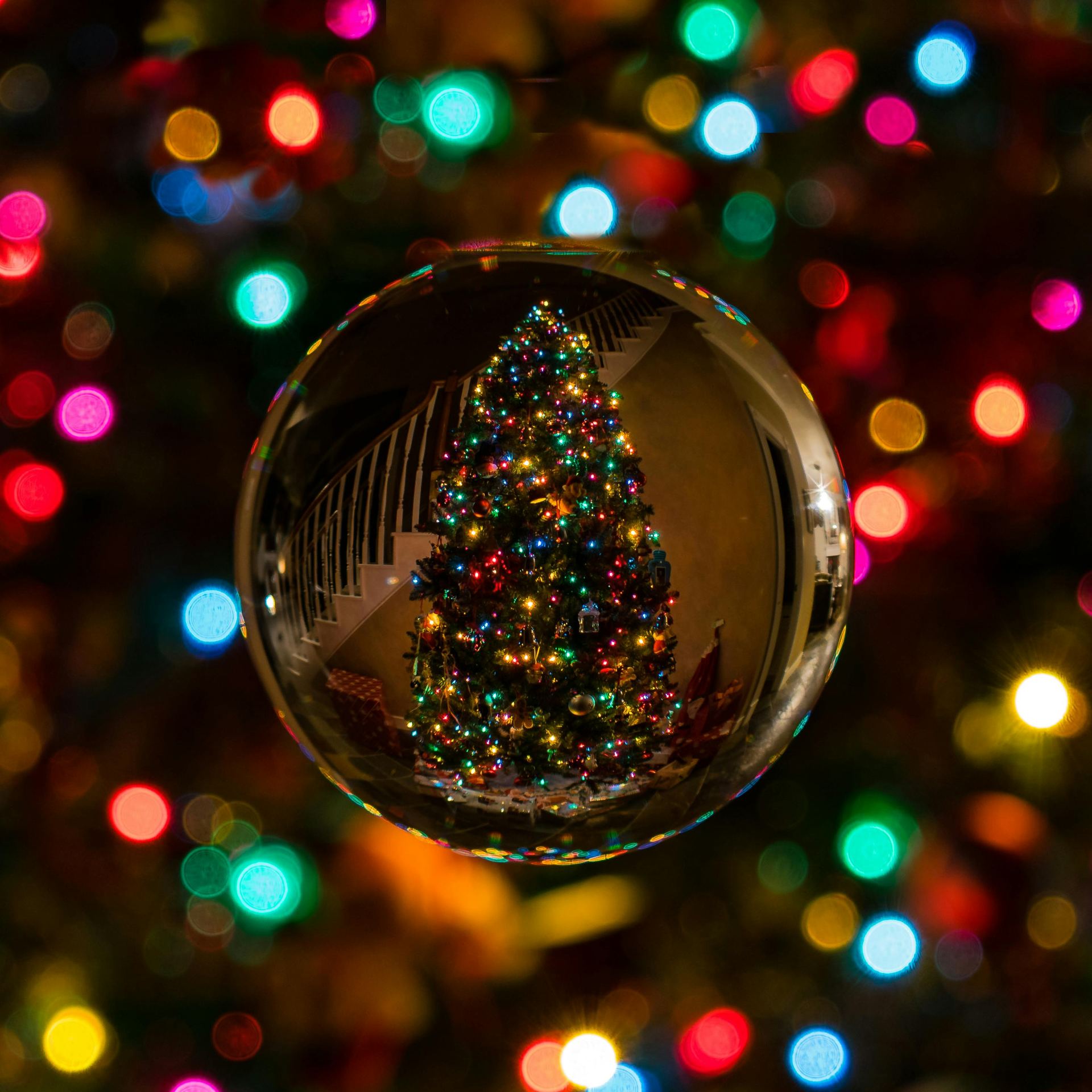 Glass Bauble Reflecting Christmas Tree