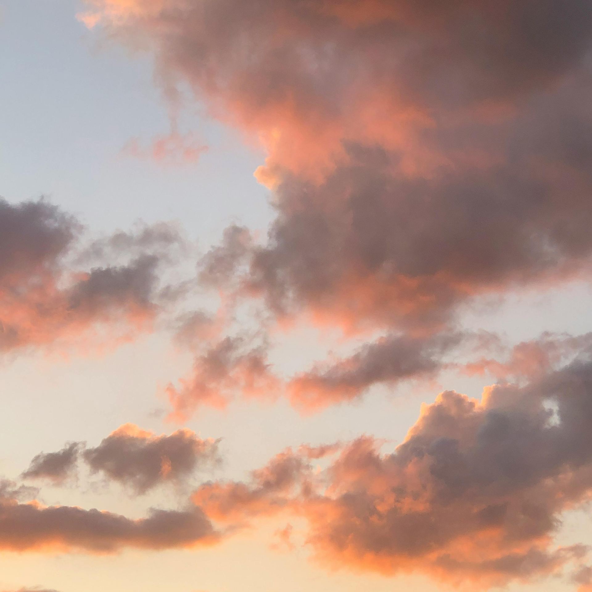 From below picturesque pink fluffy clouds floating on blue sky in early evening