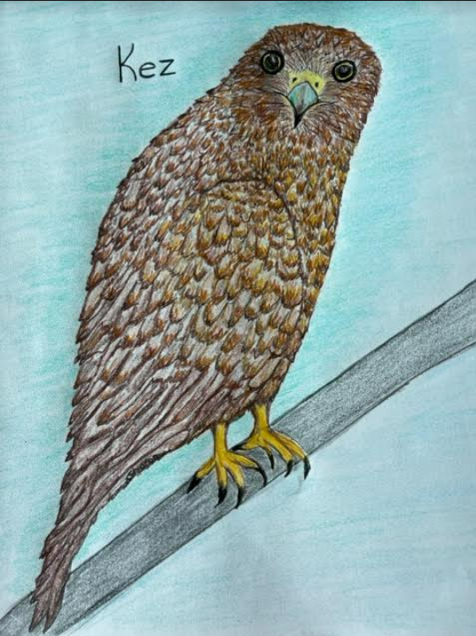 Kez is a speckled falcon and is warrior Kathleen's familiar. 7/12/23