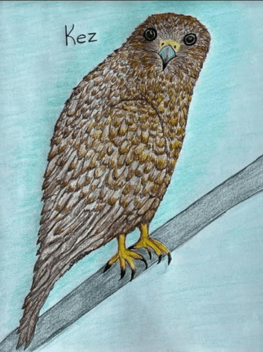 Kez is a speckled falcon and is warrior Kathleen's familiar. 7/12/23