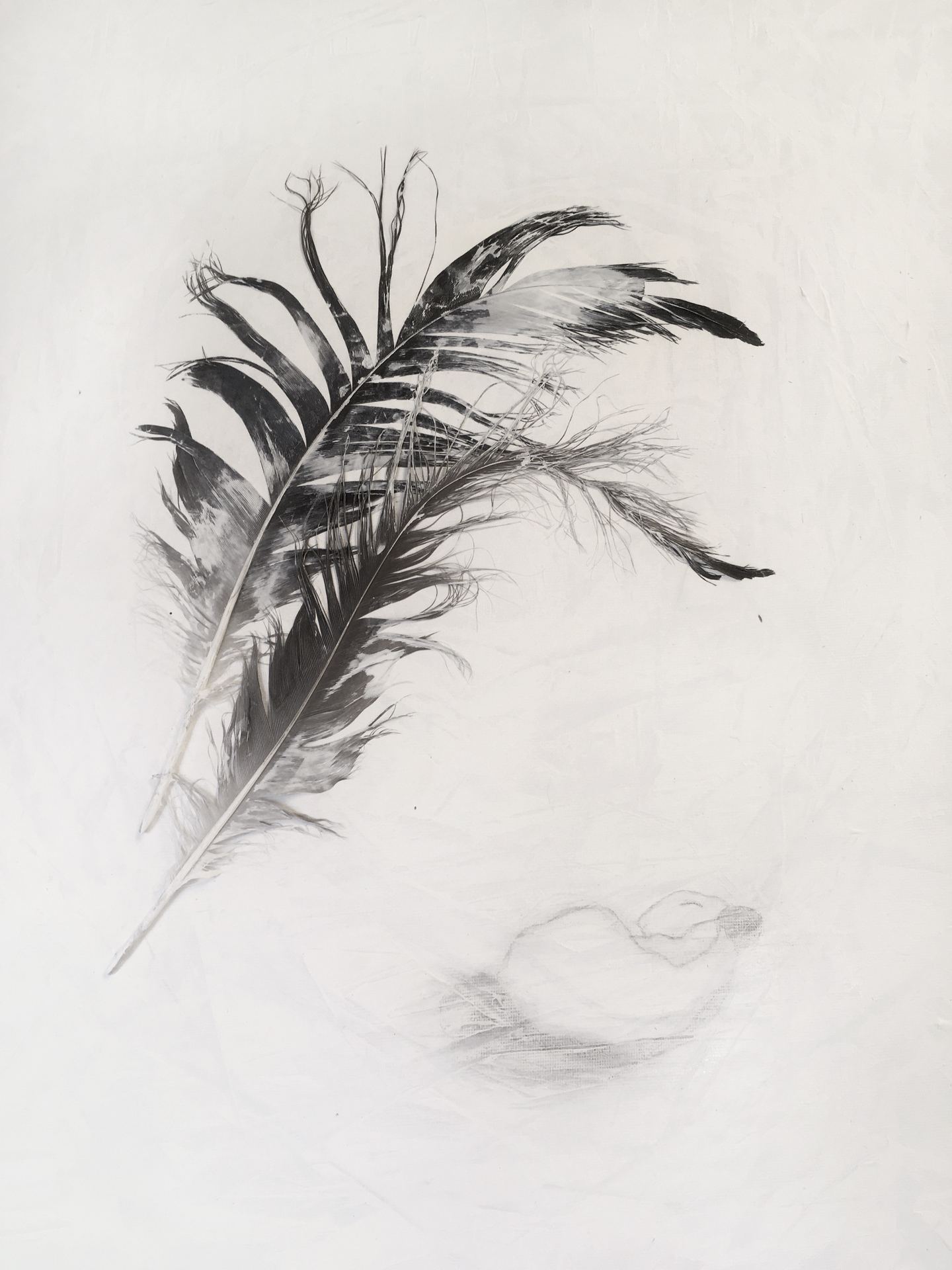 Nuku hyvin / Sleep Tight, 2022, akryyli, sulka, 60x50cm