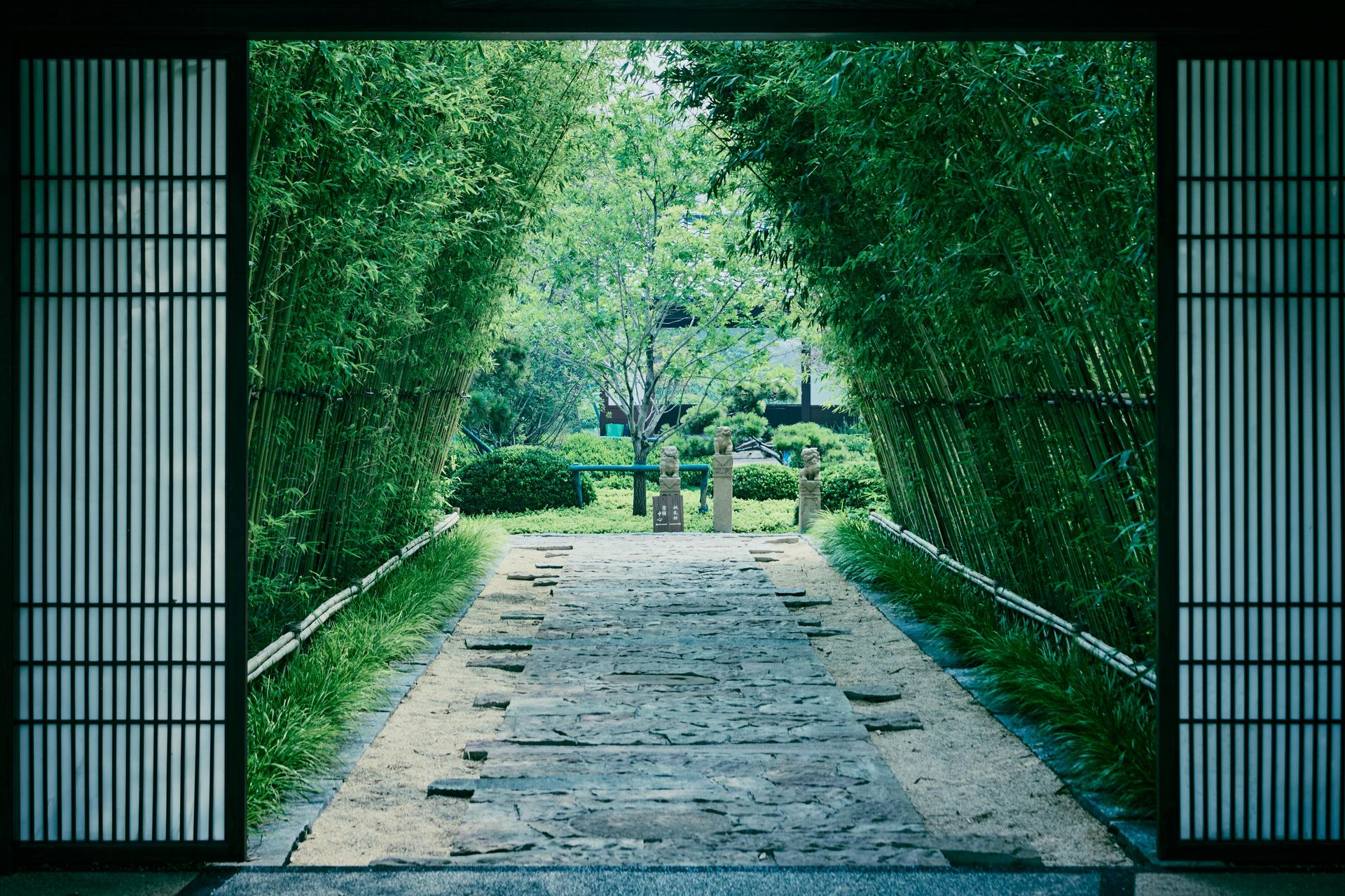 Guided Meditations for Inner Peace