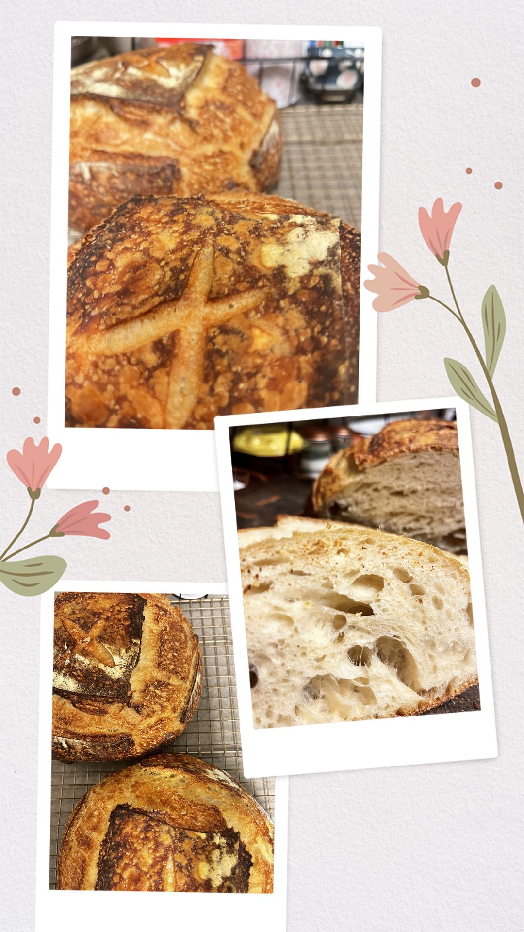 Sourdough bread from Lord Souron