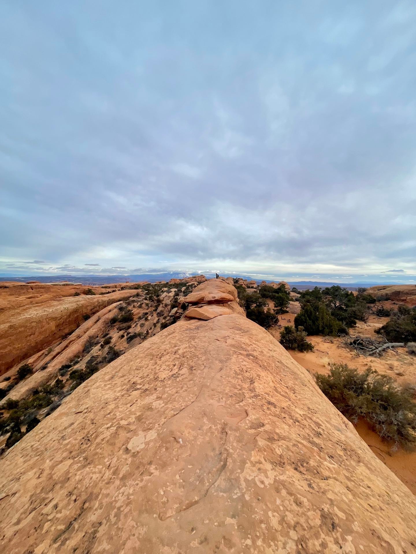 Activities and Hobbies