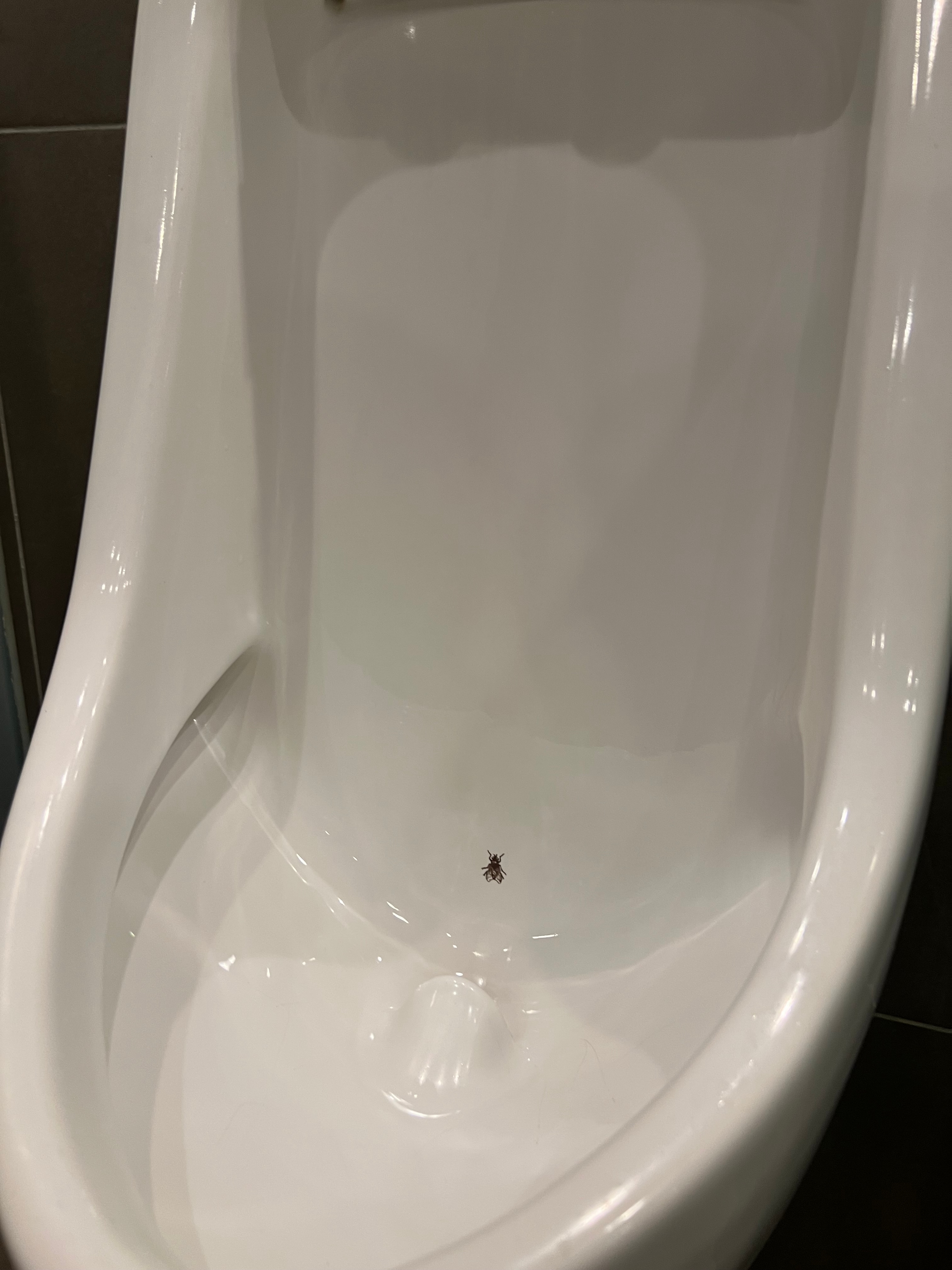 Singapore Changi Airport Urinal