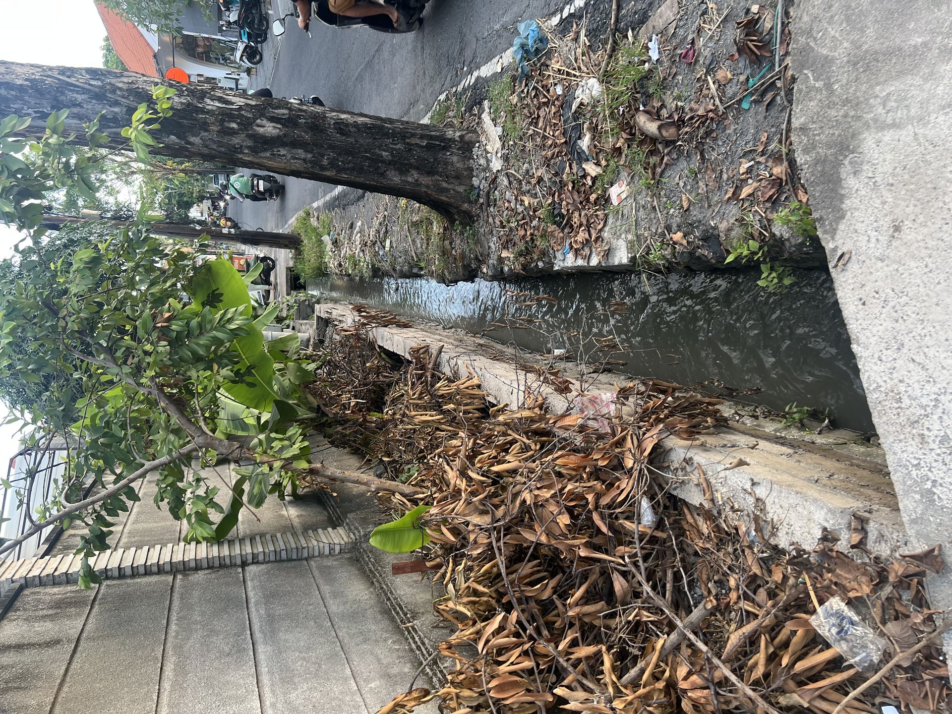 Tibubeneng Open Drainage Channel