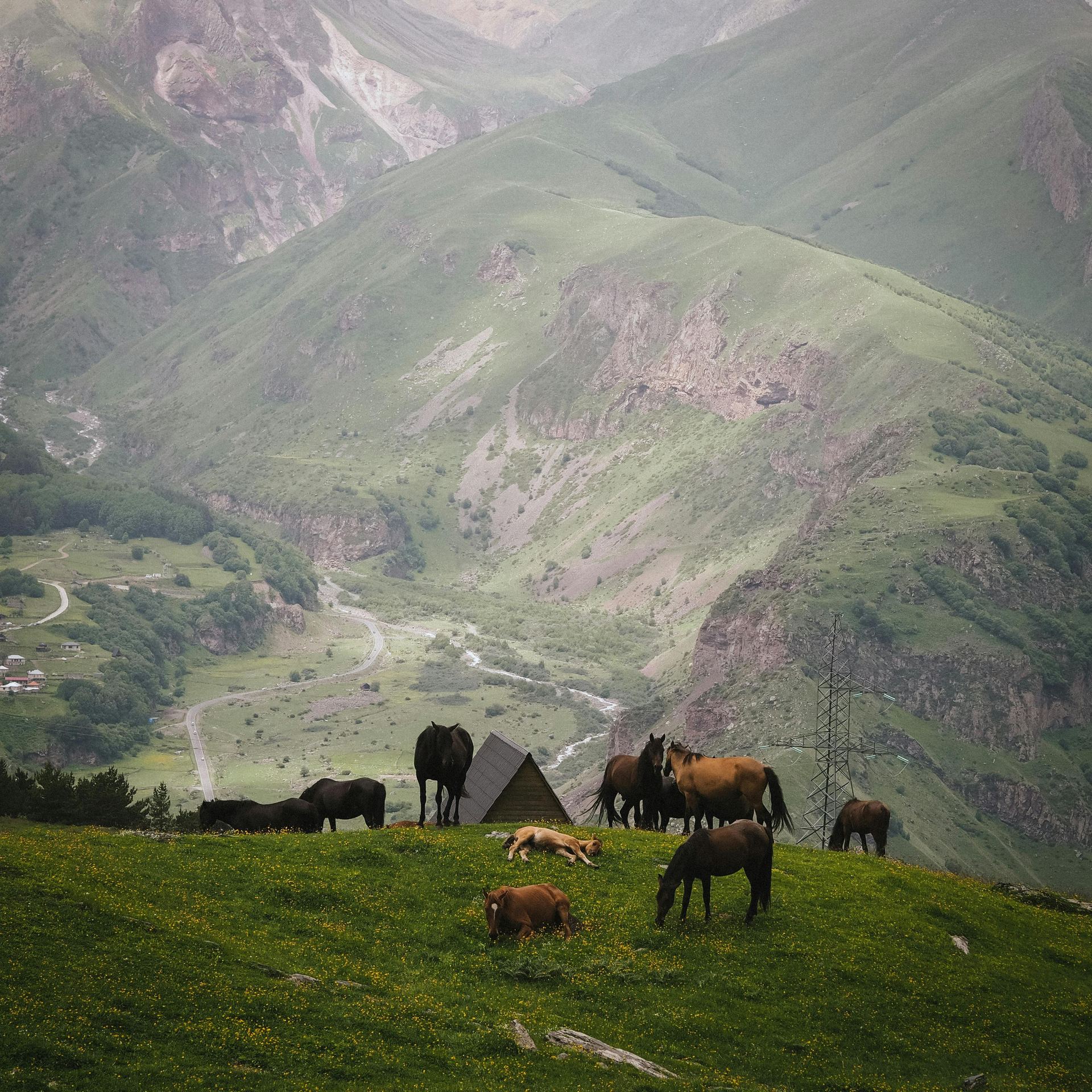 kazbegi