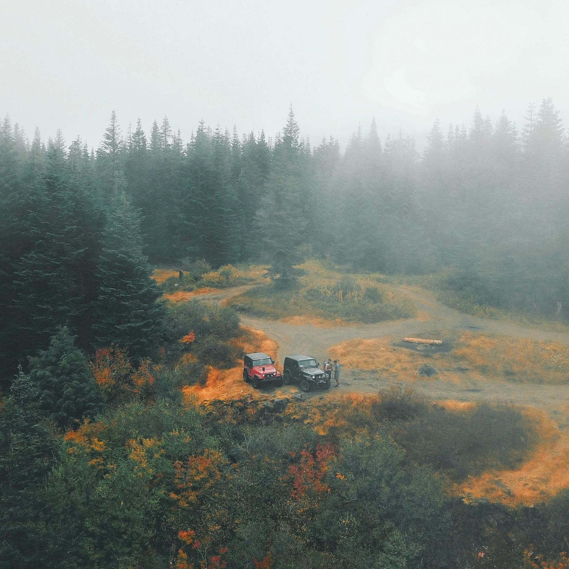 Cars Parked Surrounded by Trees