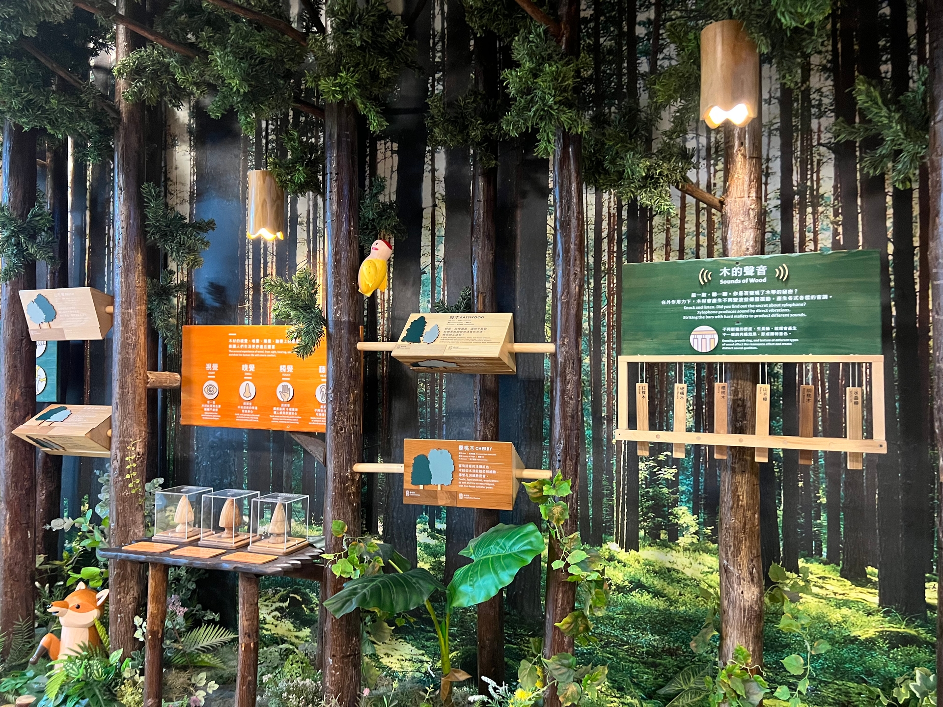 Taoyuan International Airport Themed International Departures Gate