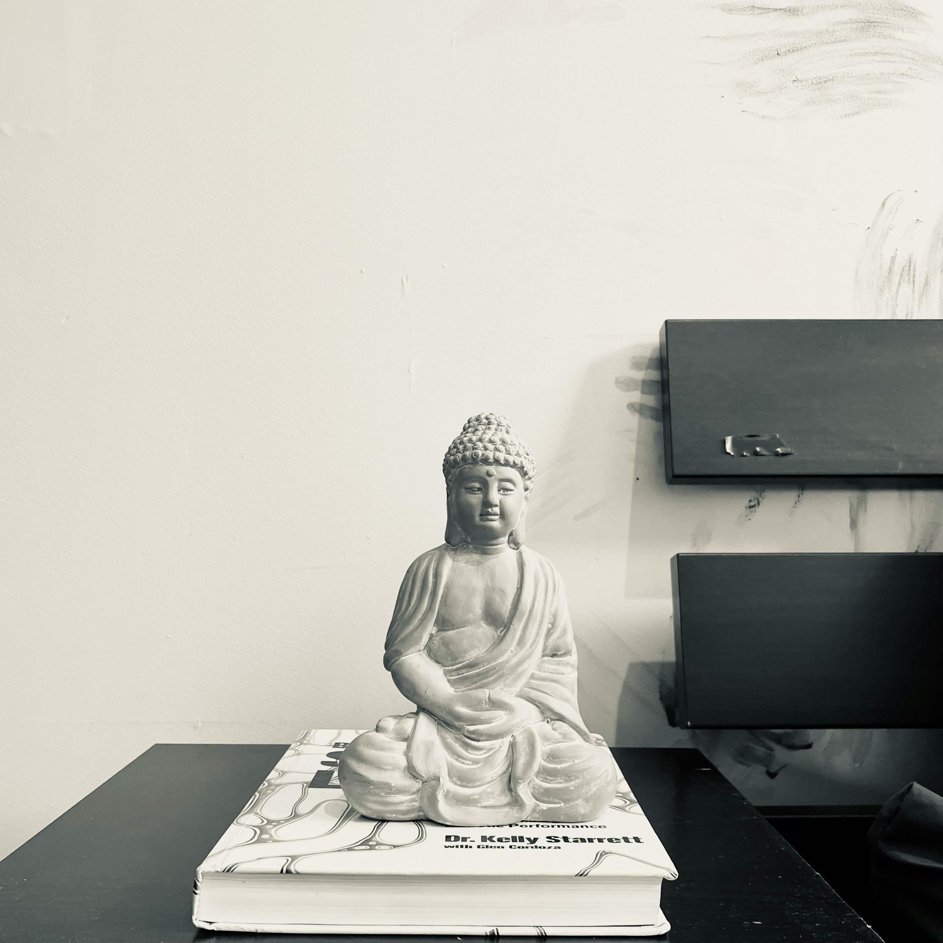 Statue of Buddha on a Book