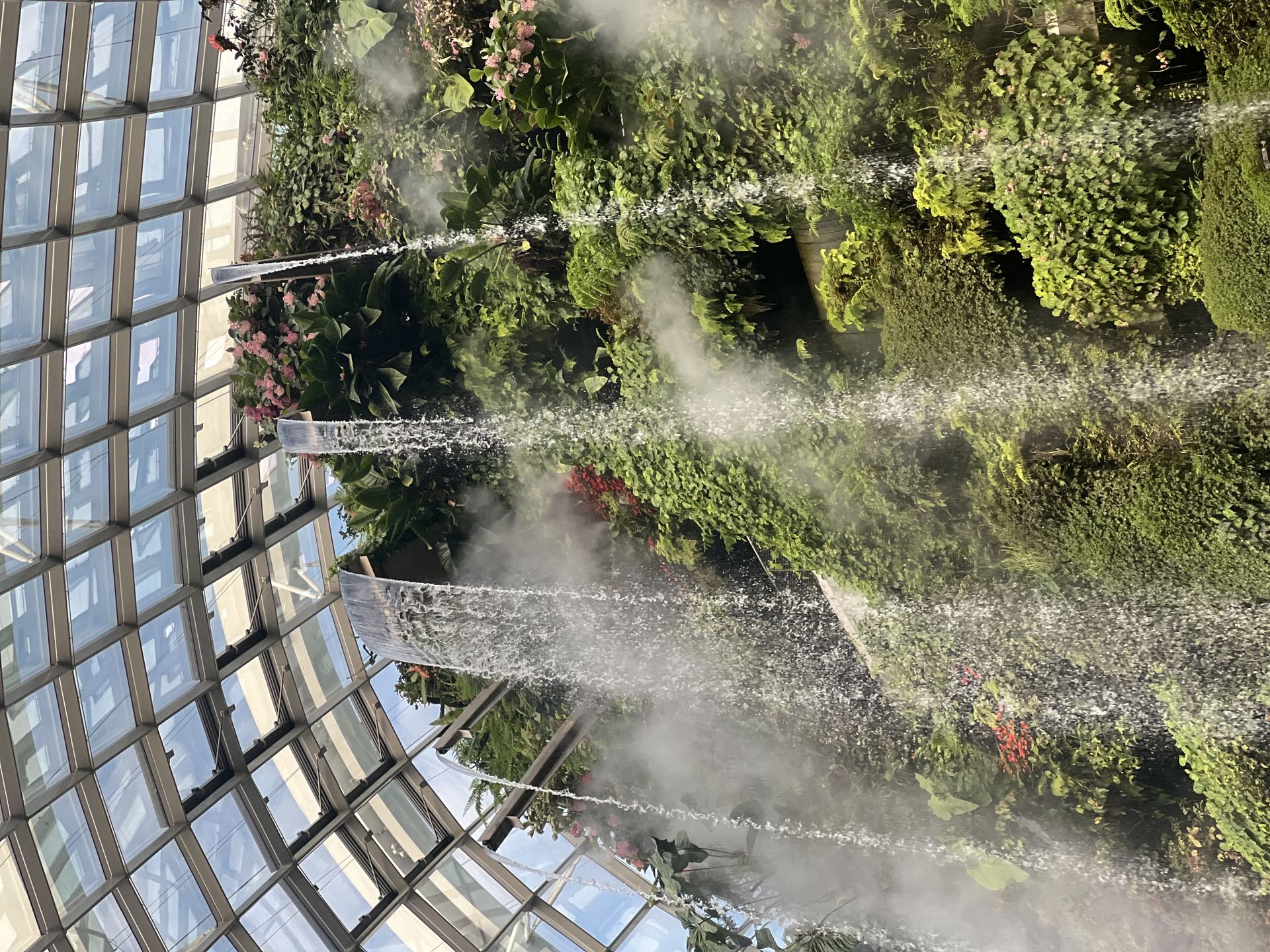 Cloud Forest
