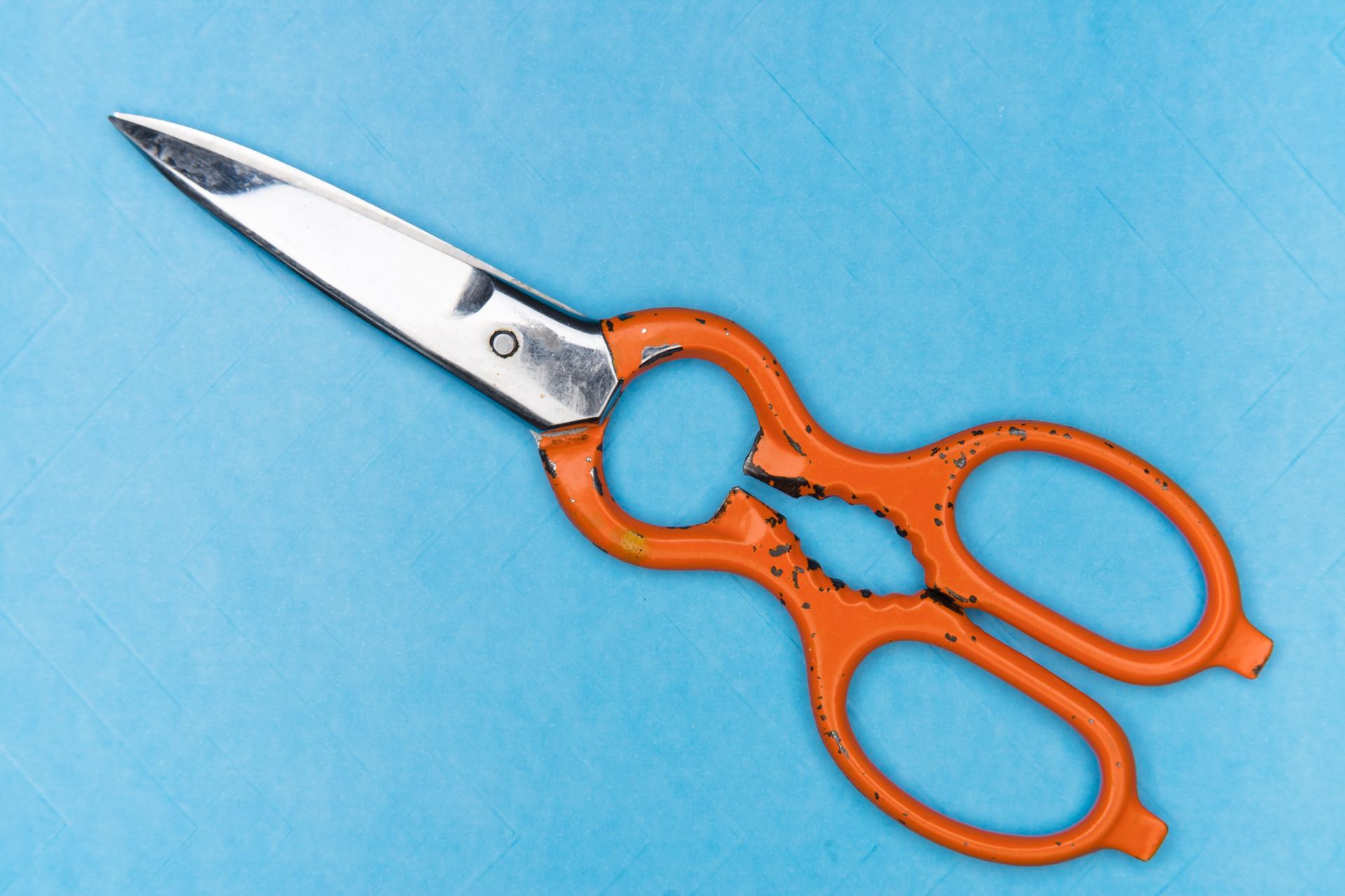 Seth's Shears