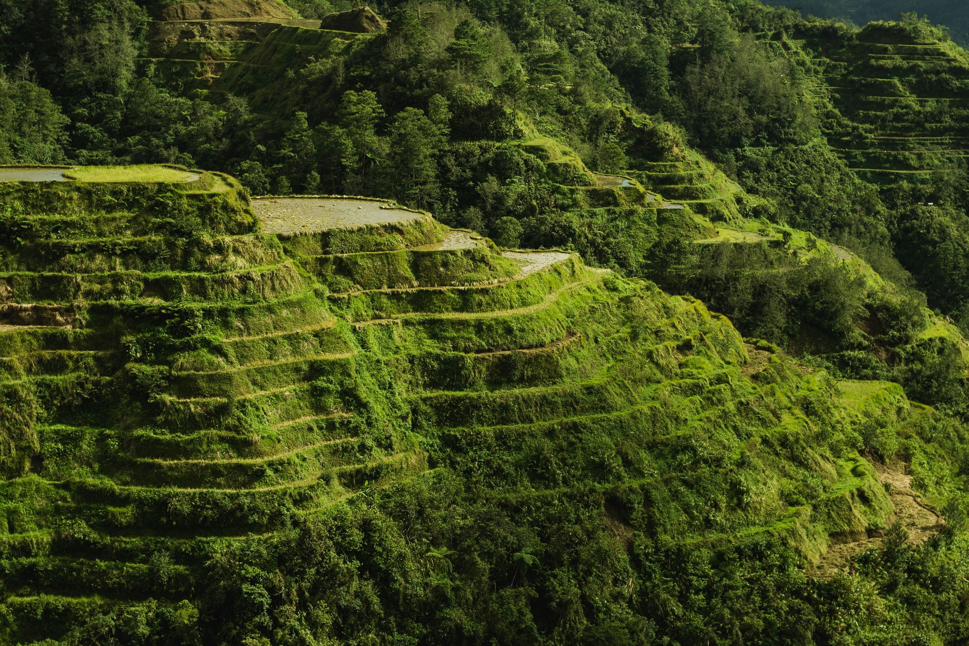 Scenic Photo Of Rice Terraces During Daytime