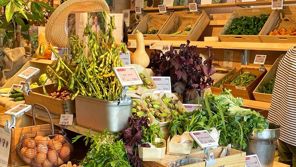 Totoya Zero-Waste Market, Credits: Totoya Zero-Waste Market