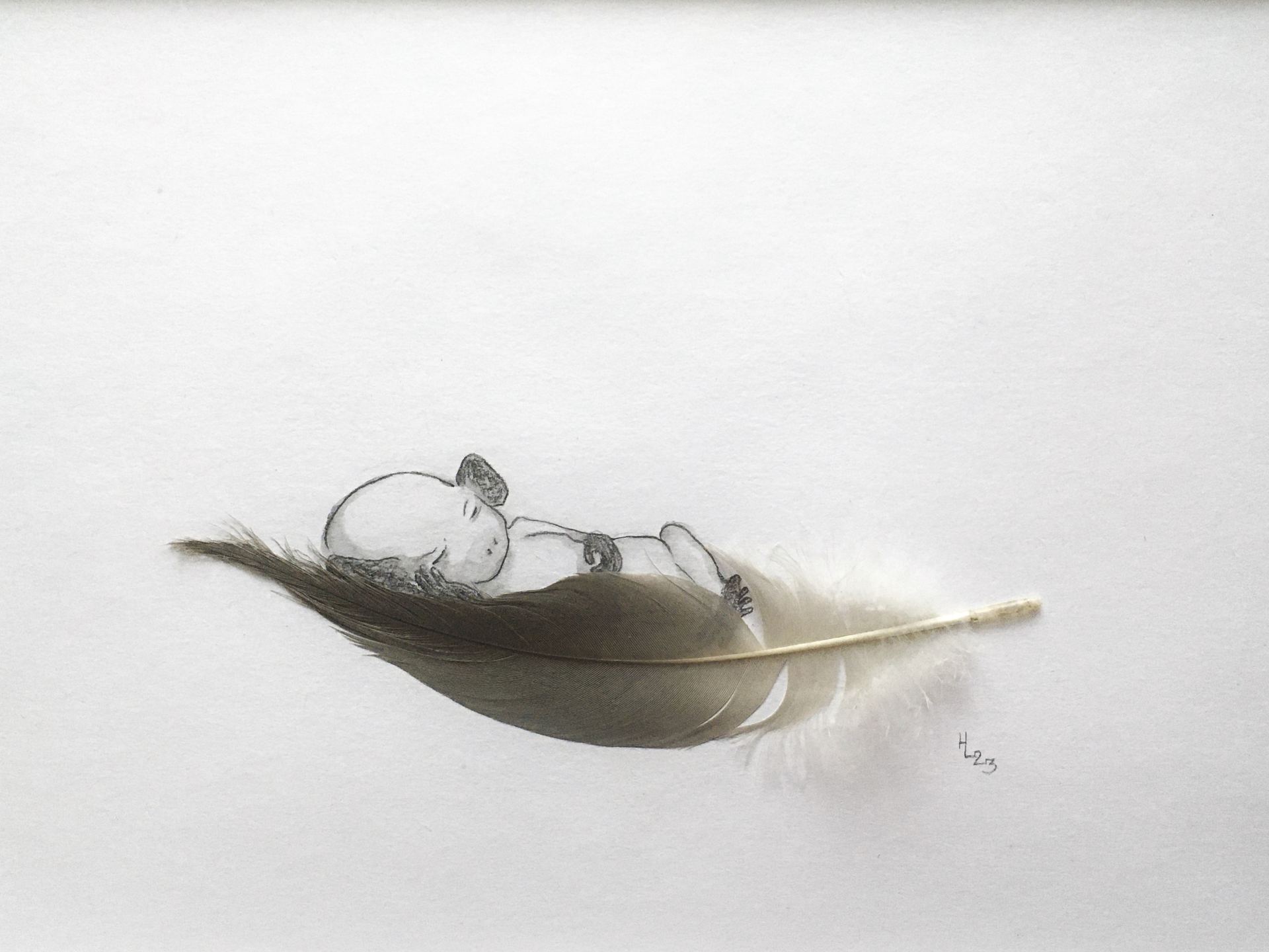 Heini Lehvaslaiho, Höyhensaari /
Feather Island, 2023, grafiitti, höyhen, 40x30cm MYYTY