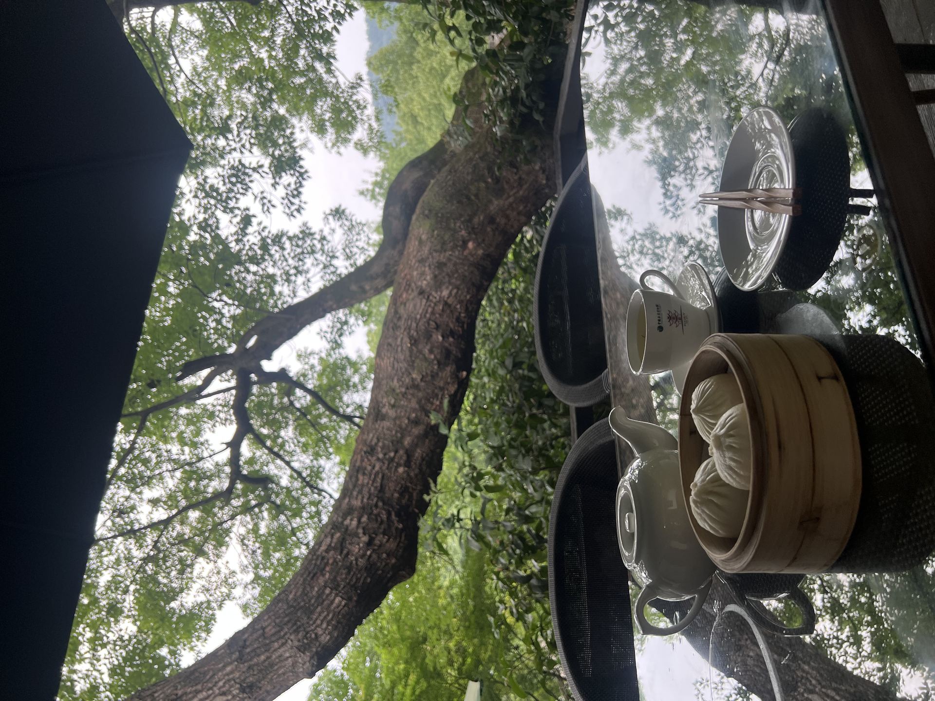 China National Tea Museum, Hangzhou, Lunch