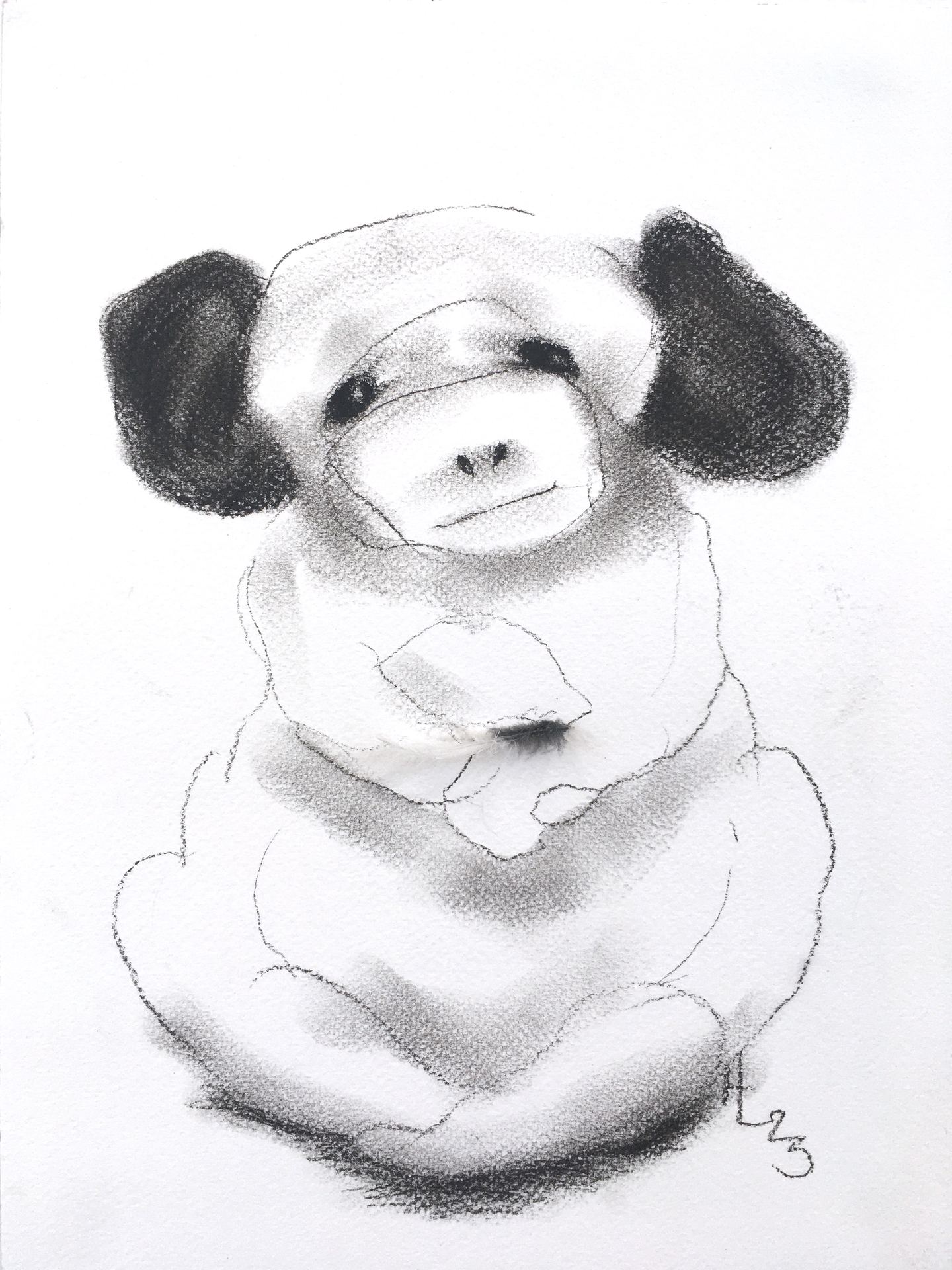 PIENI MUSTAVALKOINEN / LITTLE BLACK’N’WHITE, 2023, grafiitti, höyhen, 30x23cm